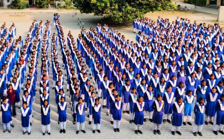 Students and Studies